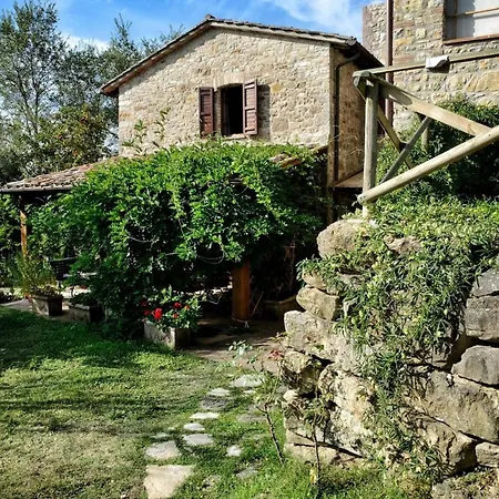 L'ulivo By Interhome * San Venanzo