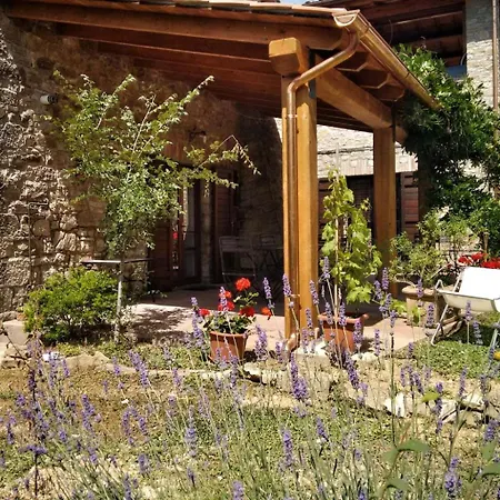 L'ulivo By Interhome Apartamento *