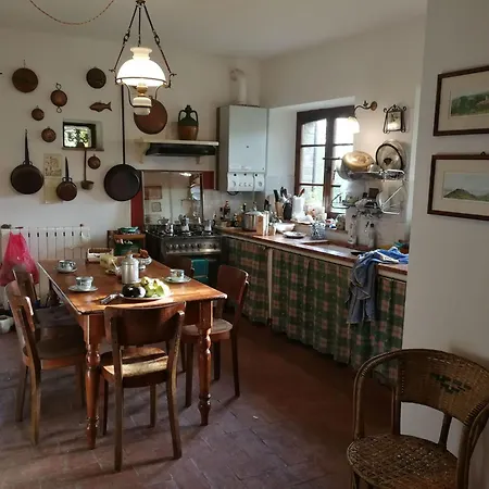 L'ulivo By Interhome