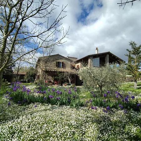 L'ulivo By Interhome San Venanzo
