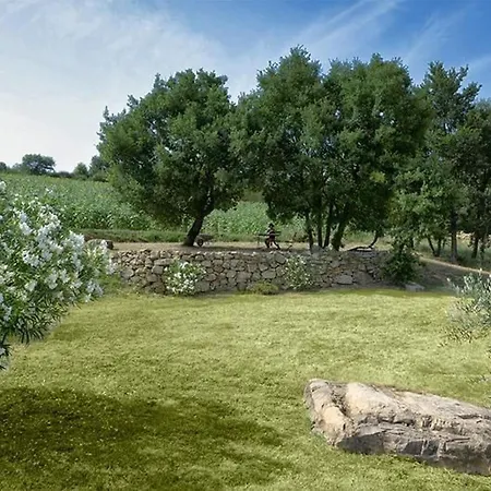 L'ulivo By Interhome San Venanzo