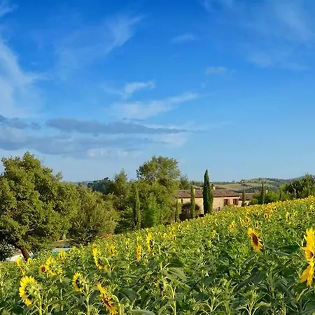 L'ulivo By Interhome * San Venanzo