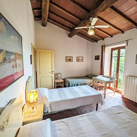 Apartamento L'ulivo By Interhome