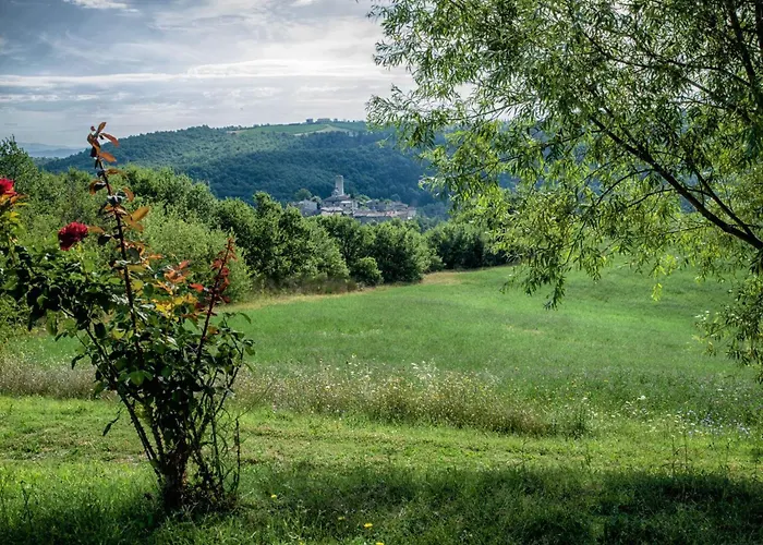 L'ulivo By Interhome