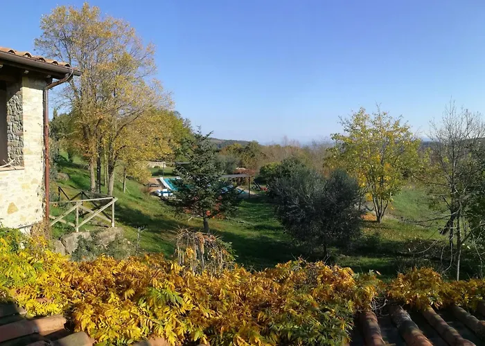 L'ulivo By Interhome San Venanzo