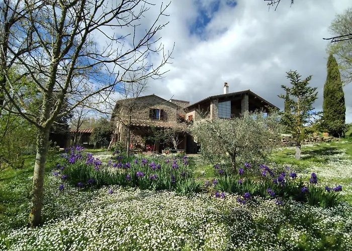 L'ulivo By Interhome San Venanzo