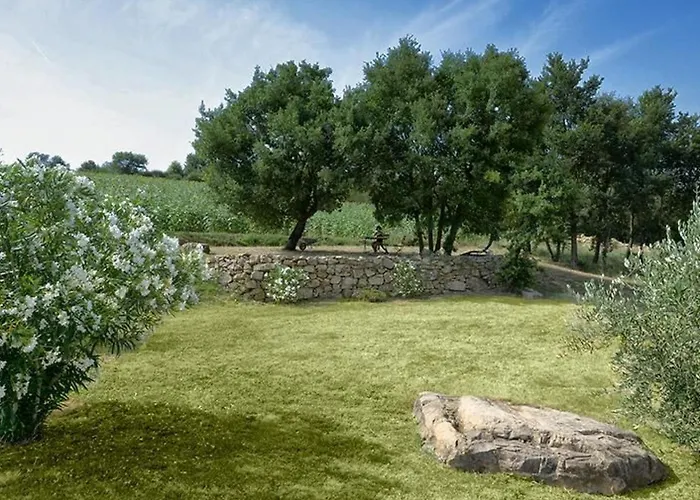 L'ulivo By Interhome San Venanzo