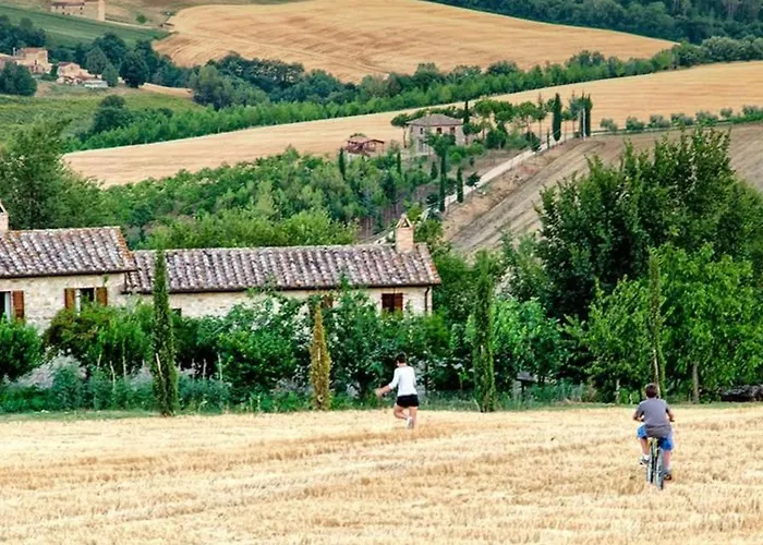 Apartment L'ulivo By Interhome San Venanzo