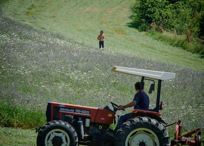 L'ulivo By Interhome San Venanzo